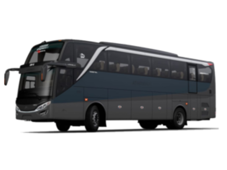 Bus Pariwisata